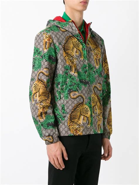 gucci veste tigre